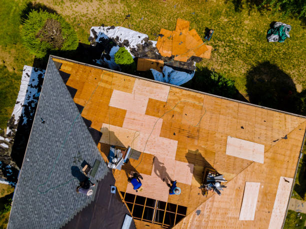 Best Roof Gutter Cleaning  in Oxford, OH